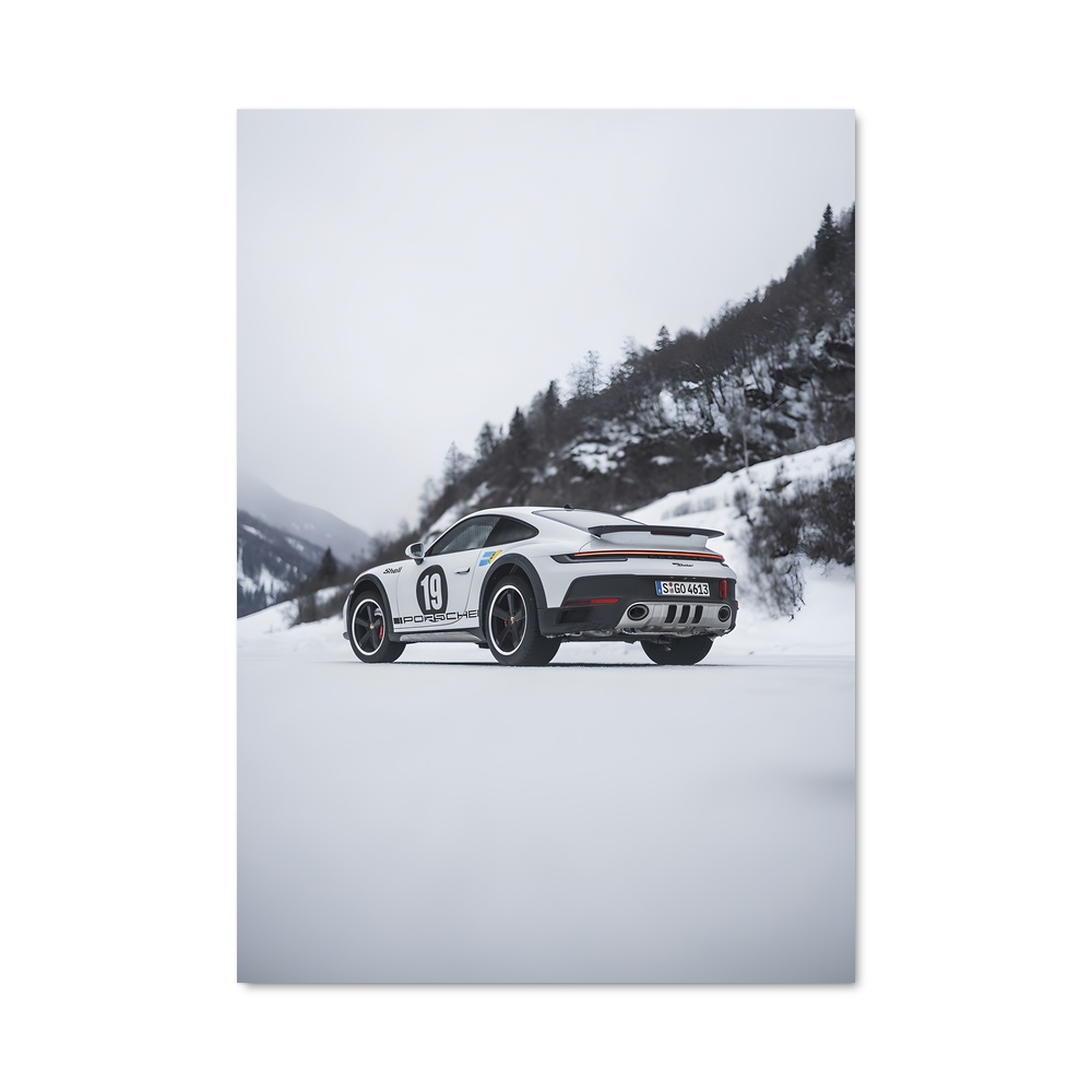 Poster magnifique dakar
